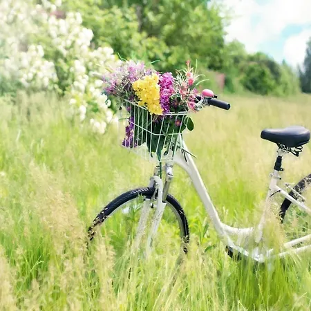 Dom wakacyjny Spacious With Private Garden Sarbinowo