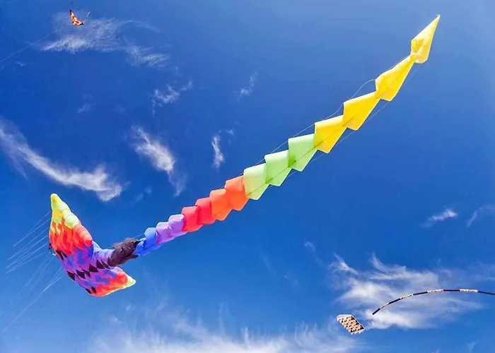 別荘 Spacious With Private Garden サルビノボ