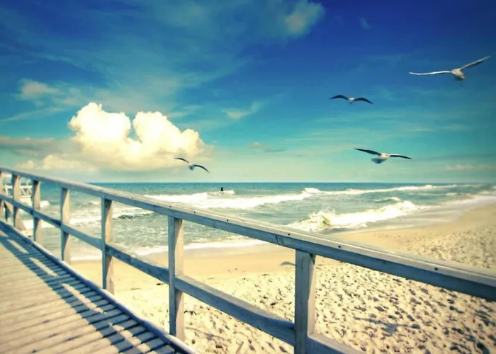 Spacious With Private Garden 別荘 サルビノボ